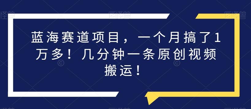 蓝海赛道项目，一个月搞了1万多！几分钟一条原创视频搬运！-七七项目网
