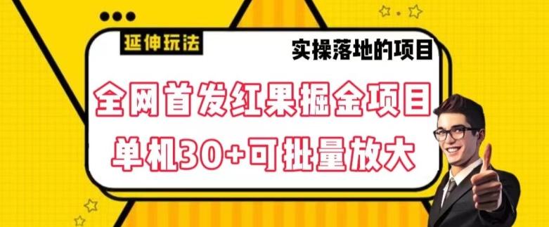 全网首发红果免费短剧掘金项目，单机30+可批量放大【揭秘】-七七项目网
