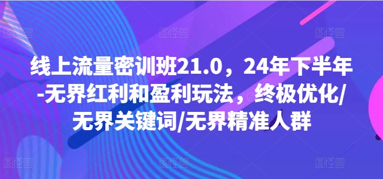 线上流量密训班21.0，24年下半年-无界红利和盈利玩法，终极优化/无界关键词/无界精准人群-七七项目网