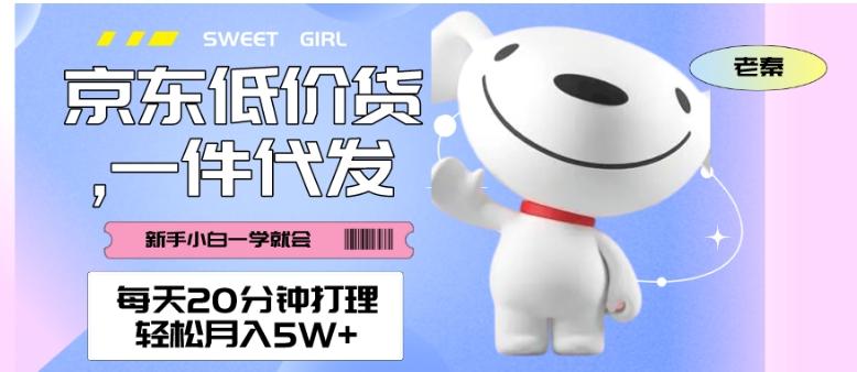 每天20分钟打理京东低价货，一件代发-轻松月入5W＋-七七项目网
