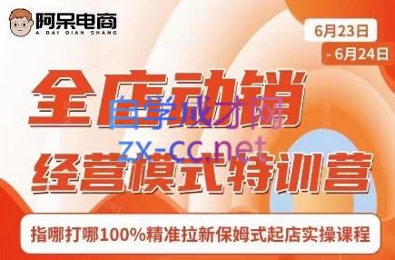 阿呆电商·全店动销经营模式特训营(线下录音+思维导图)-七七项目网
