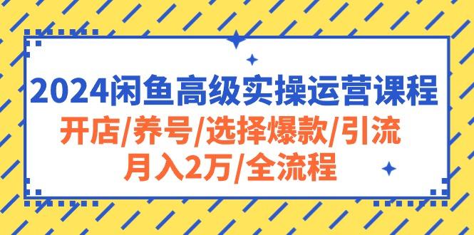 2024闲鱼高级实操运营课程：开店/养号/选择爆款/引流/月入2万/全流程-七七项目网