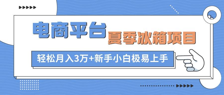 电商平台夏季冰箱项目，轻松月入3万+，新手小白极易上手-七七项目网
