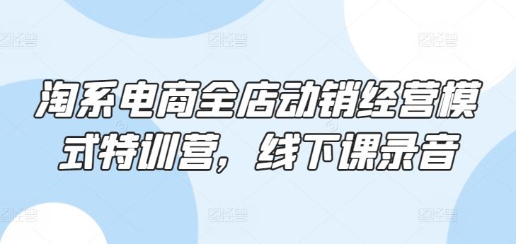 淘系电商全店动销经营模式特训营，线下课录音-七七项目网