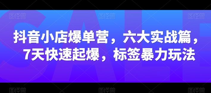抖音小店爆单营，六大实战篇，7天快速起爆，标签暴力玩法-七七项目网