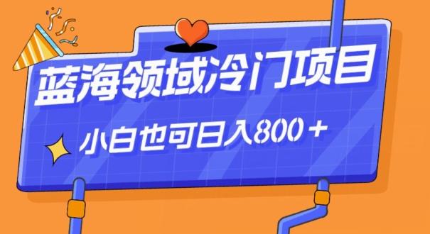 蓝海领域冷门赛道，一单39.9，日入800＋-七七项目网