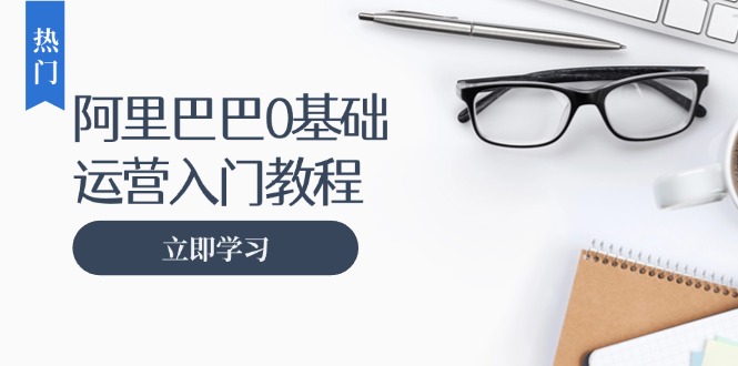 阿里巴巴运营零基础入门教程：涵盖开店、运营、推广，快速成为电商高手-七七项目网
