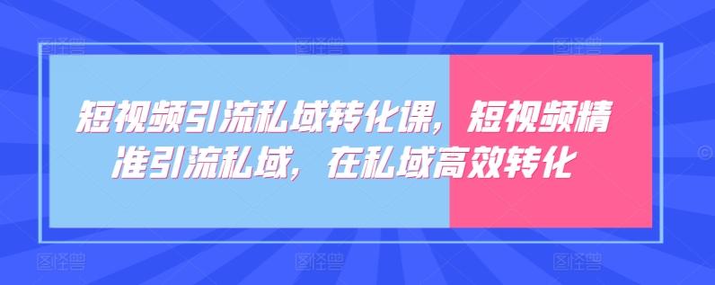 短视频引流私域转化课，短视频精准引流私域，在私域高效转化-七七项目网