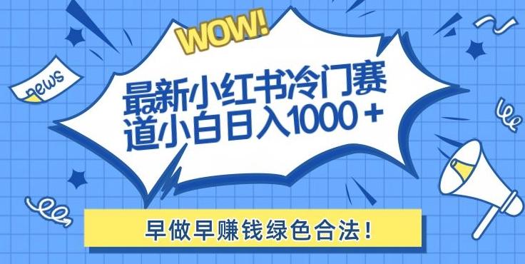 最新小红书冷门赛道日入1000+一部手机小白轻松-七七项目网