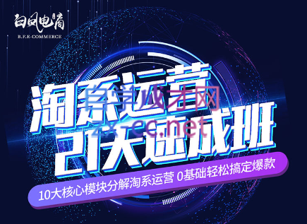 淘系运营21天速成班(更新7月)-七七项目网