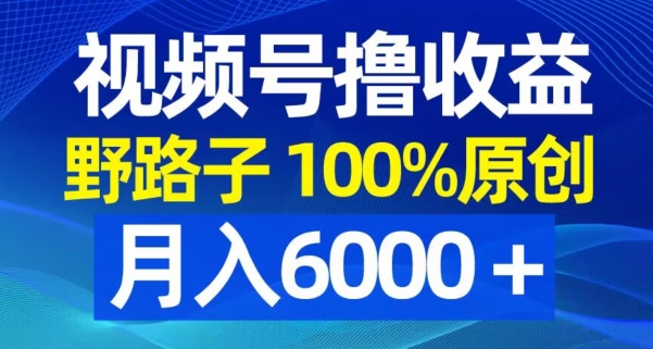 视频号野路子撸收益，100%原创，条条爆款，月入6000＋【揭秘】-七七项目网