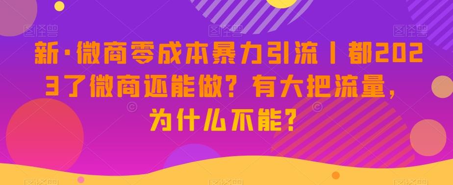 新·微商零成本暴力引流丨都2023了微商还能做？有大把流量，为什么不能？-七七项目网