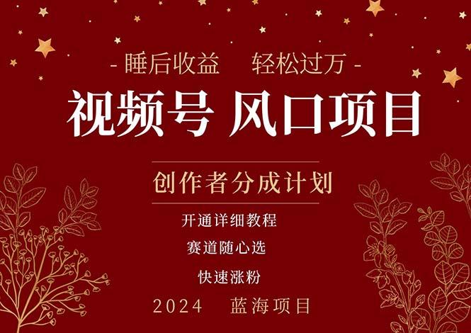 拥有睡眠收益的微信视频号大风口项目，轻松月入过万+，多赛道选择，可…-七七项目网