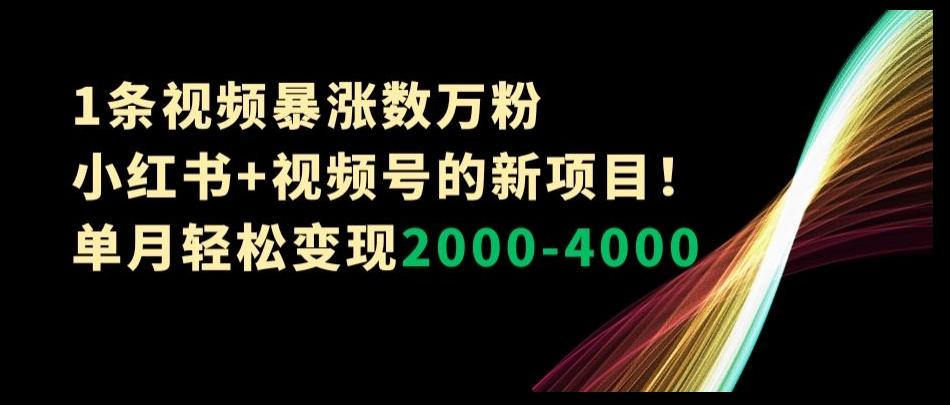 1条视频暴涨数万粉–小红书+视频号的新项目！单月轻松变现2000-4000【揭秘】-七七项目网