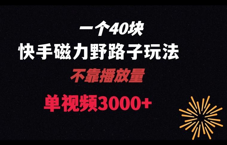 一个40块，快手联合美团磁力新玩法，无视机制野路子玩法，单视频收益4位数【揭秘】-七七项目网