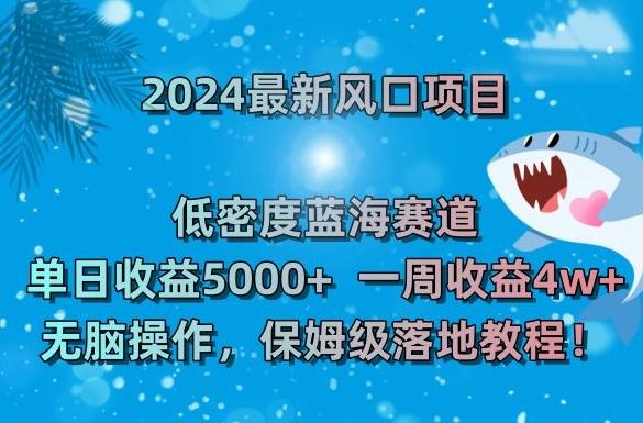 2024最新风口项目，低密度蓝海赛道，单日收益5000+，一周收益4w+！【揭秘】-七七项目网