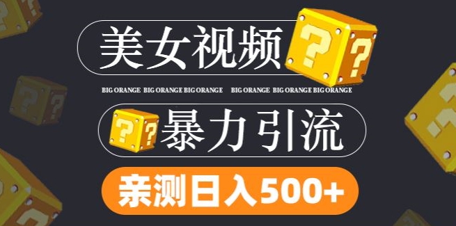 搬运tk美女视频全网分发，日引s粉300+，轻松变现，不限流量不封号【揭秘】-七七项目网