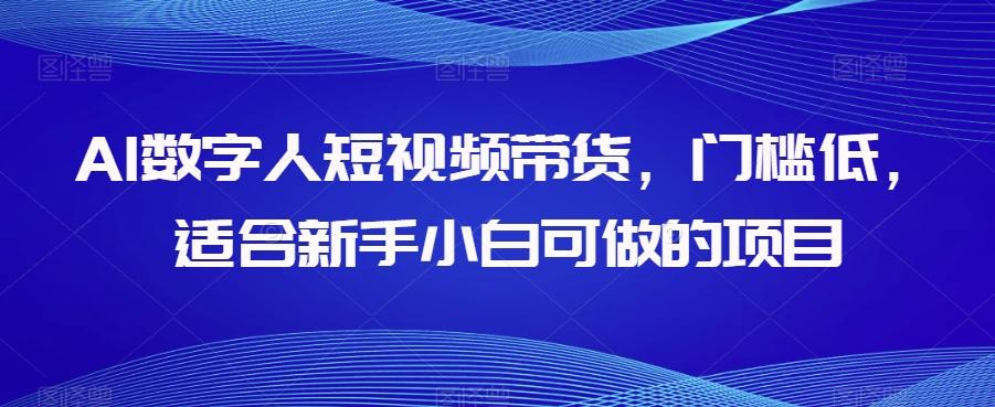 AI数字人短视频带货，门槛低，适合新手小白可做的项目-七七项目网