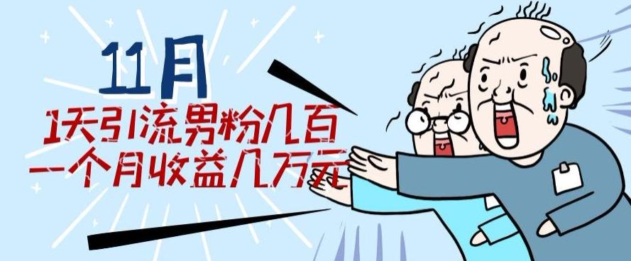 11月最新每天引流男粉300+一个月收益几万元-七七项目网