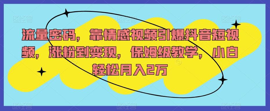 流量密码，靠情感视频引爆抖音短视频，涨粉到变现，保姆级教学，小白轻松月入2万【揭秘】-七七项目网