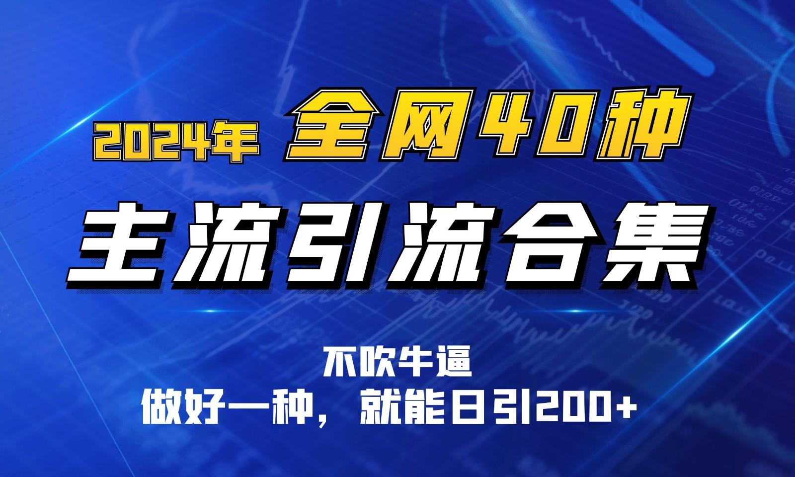 2024年全网40种暴力引流合计，做好一样就能日引100+-七七项目网