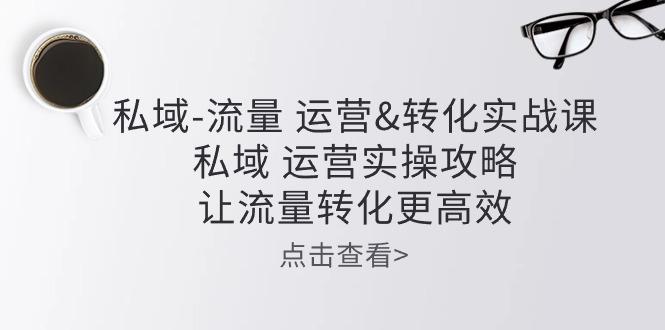 私域-流量 运营&转化实操课：私域 运营实操攻略 让流量转化更高效-七七项目网