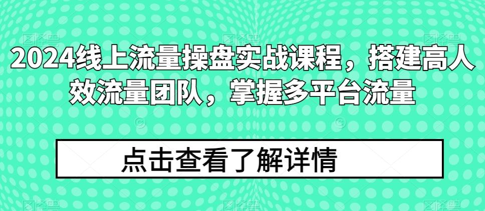 2024线上流量操盘实战课程，搭建高人效流量团队，掌握多平台流量-七七项目网