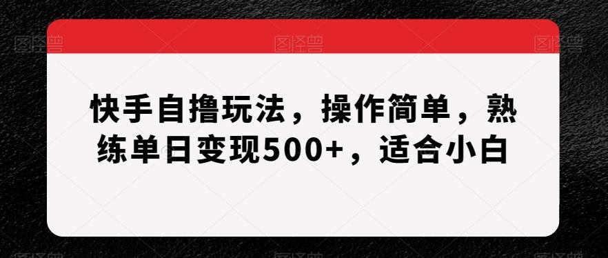 快手自撸玩法，操作简单，熟练单日变现500+，适合小白【揭秘】-七七项目网