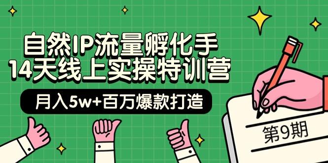(9881期)自然IP流量孵化手 14天线上实操特训营【第9期】月入5w+百万爆款打造 (74节)-七七项目网