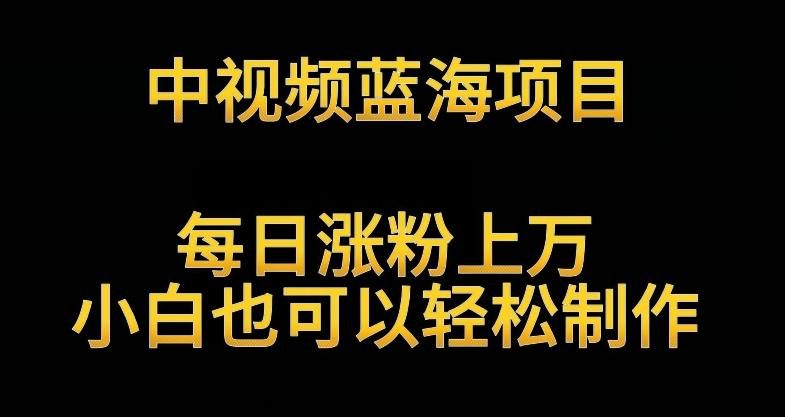 中视频蓝海项目，解读英雄人物生平，每日涨粉上万，小白也可以轻松制作，月入过万不是梦【揭秘】-七七项目网