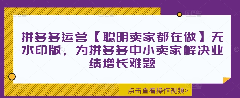 拼多多运营【聪明卖家都在做】无水印版，为拼多多中小卖家解决业绩增长难题-七七项目网