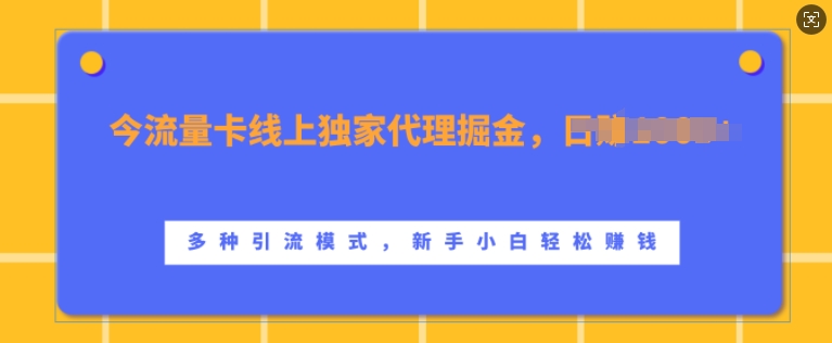 流量卡线上独家代理掘金，日入1k+ ，多种引流模式，新手小白轻松上手【揭秘】-七七项目网
