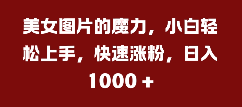 美女图片的魔力，小白轻松上手，快速涨粉，日入几张【揭秘】-七七项目网