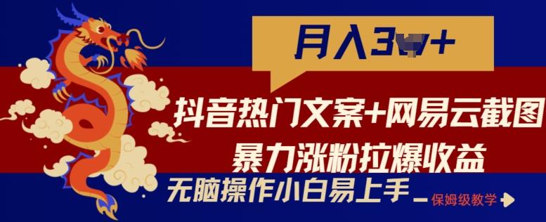 抖音热门文案+网易云截图暴力涨粉拉爆收益玩法，小白无脑操作，简单易上手【揭秘】-七七项目网