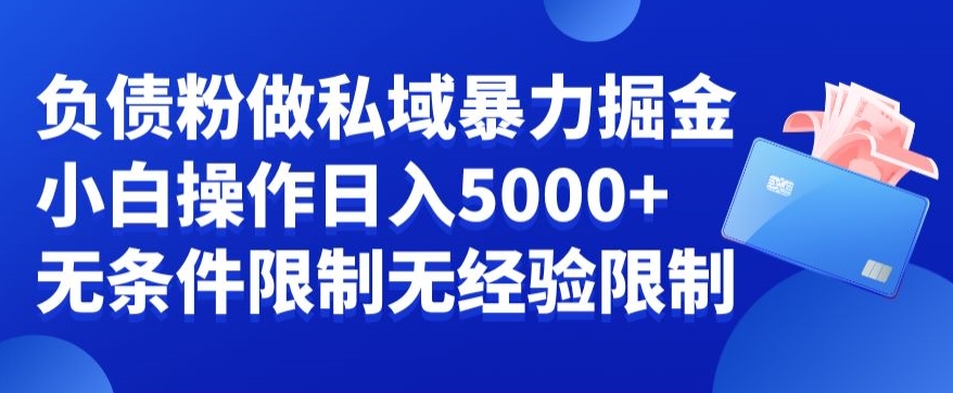负债粉私域暴力掘金，小白操作入5000，无经验限制，无条件限制【揭秘】-七七项目网