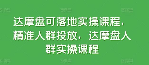 达摩盘可落地实操课程，精准人群投放，达摩盘人群实操课程-七七项目网