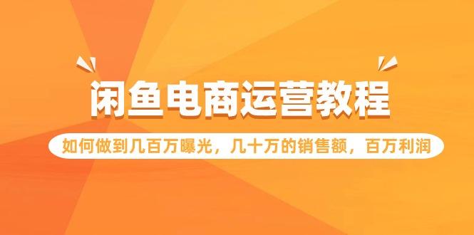 (9560期)闲鱼电商运营教程：如何做到几百万曝光，几十万的销售额，百万利润-七七项目网