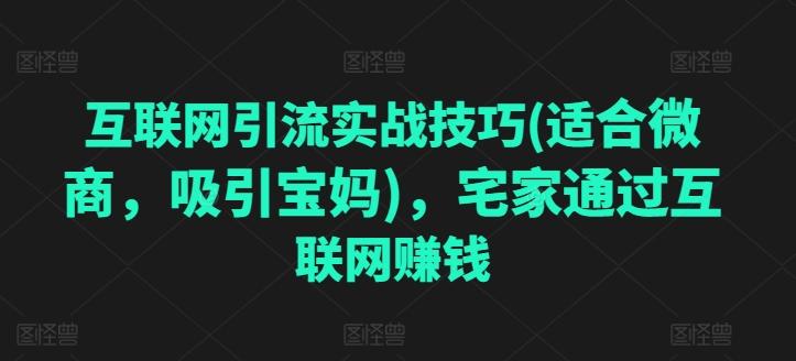 互联网引流实战技巧(适合微商，吸引宝妈)，宅家通过互联网赚钱-七七项目网
