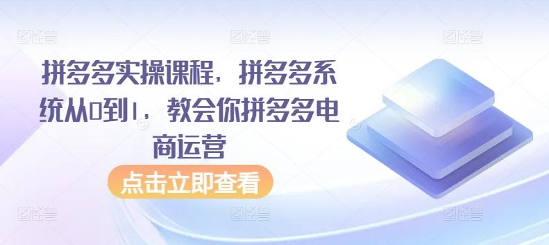 拼多多实操课程，拼多多系统从0到1，教会你拼多多电商运营-七七项目网