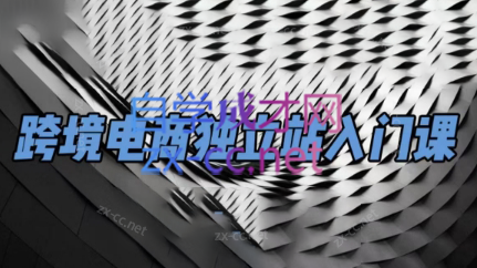 团长·跨境电商独立站入门课(2小时精华)-七七项目网