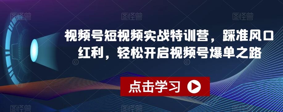 视频号短视频实战特训营，踩准风口红利，轻松开启视频号爆单之路-七七项目网