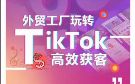 外贸工厂玩转TikTok高效获客，多种引流方式与账号定位技巧，拆解爆款短视频打造成功案例-七七项目网
