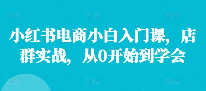 小红书电商小白入门课，店群实战，从0开始到学会-七七项目网
