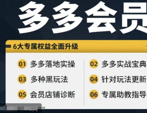 拼多多会员，拼多多实战宝典+实战落地实操，从新手到高阶内容全面覆盖-七七项目网