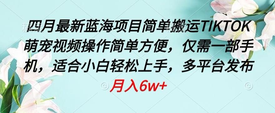 四月最新蓝海项目，简单搬运TIKTOK萌宠视频，操作简单方便，仅需一部手机【揭秘】-七七项目网