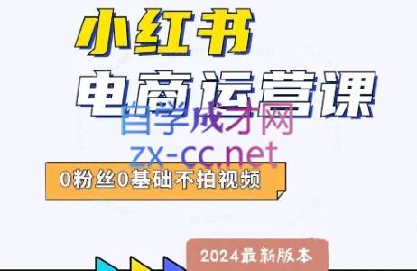 达哥·小红书电商运营(2024版)-七七项目网