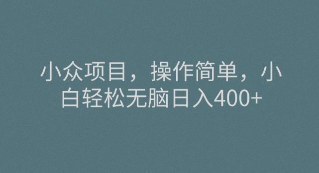 小众项目，操作简单，小白轻松无脑日入400+-七七项目网