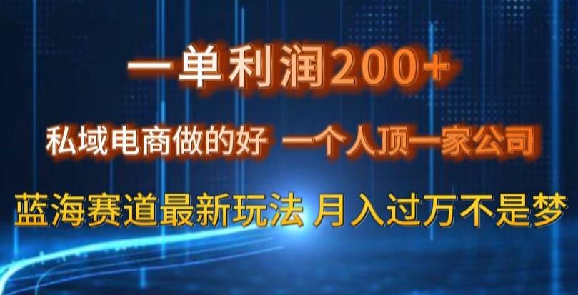 一单利润200私域电商做的好，一个人顶一家公司蓝海赛道最新玩法【揭秘】-七七项目网
