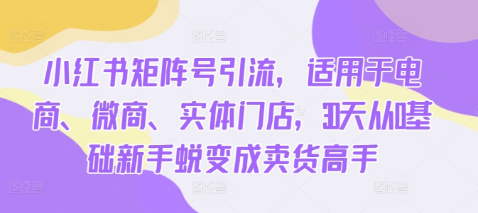 小红书矩阵号引流，适用于电商、微商、实体门店，30天从0基础新手蜕变成卖货高手-七七项目网