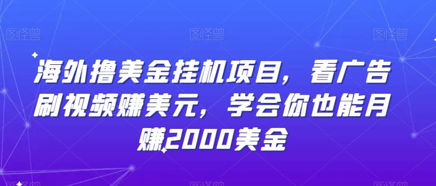 海外撸美金挂机项目，看广告刷视频赚美元，学会你也能月赚2000美金-七七项目网